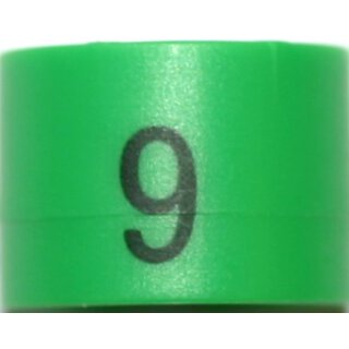 Farbenreiter Mini (100 Stück) grün