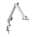 Eschenbach Arm m. Klemme/Flansch/2