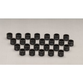 Kollektionsreiter / Zahlenreiter Mini nummeriert (100 Stück)