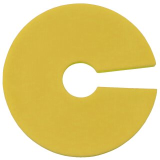 Farbenreiter Infoscheibe (100 Stück) gelb