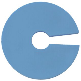 Farbenreiter Infoscheibe (100 Stück) hellblau