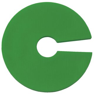 Farbenreiter Infoscheibe (100 Stück) grün