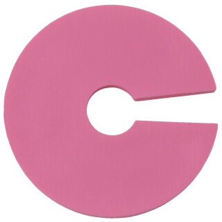 Farbenreiter Infoscheibe (100 Stück) rosa